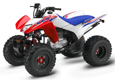 2026 Honda TRX250X at Shawnee Cycle & Powersports