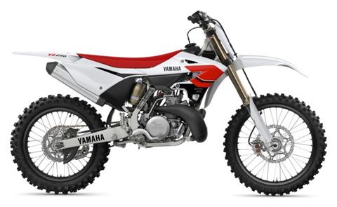2026 Yamaha YZ250 70th Anniversary at Shawnee Cycle & Powersports